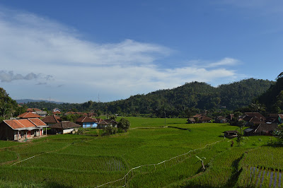 DSC_0092 - Copy.JPG