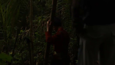 MVI_0496.MOV