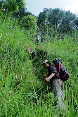 DSCF6457.JPG