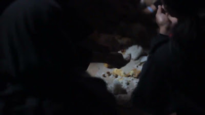MVI_6473.MOV