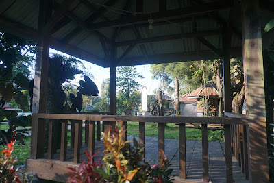DSC02018.JPG