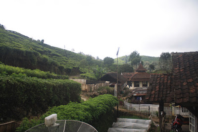 IMG_8954.JPG