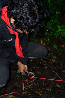 DSC07865.JPG