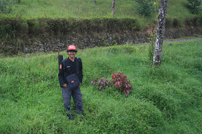 IMG_8924.JPG