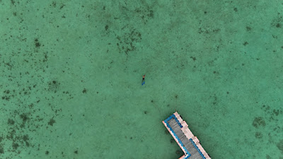 DJI_20250512073810_0083_D.JPG