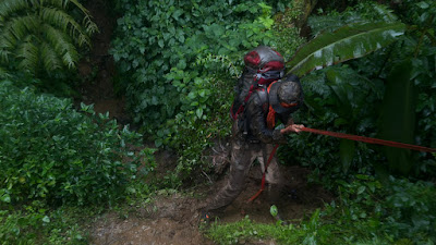 IMG_3513.JPG