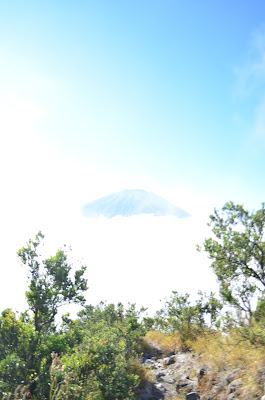 DSC_0040.JPG
