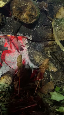 IMG_5511.MOV