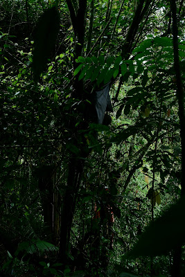 DSCF6560.JPG