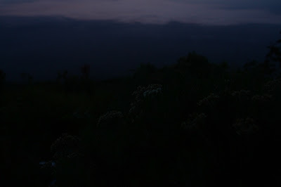 IMG_2612.JPG