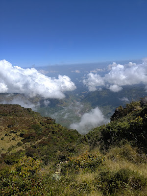 RA_20250723_105456_lmc_8.4.jpg