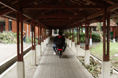 DSC05155.JPG
