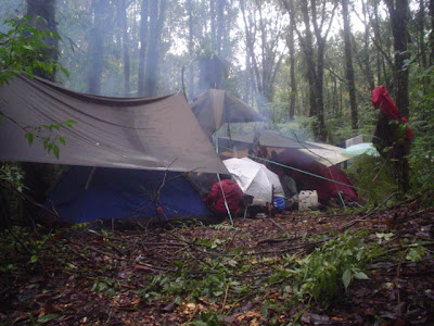 DSC01494.JPG