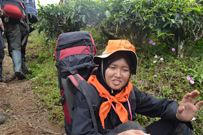 DSC_0305.JPG