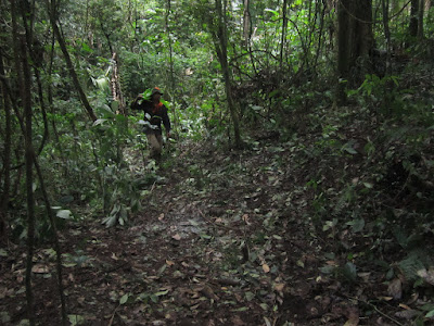 IMG_2627.JPG