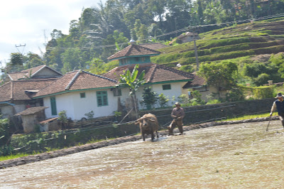 DSC_0113.JPG