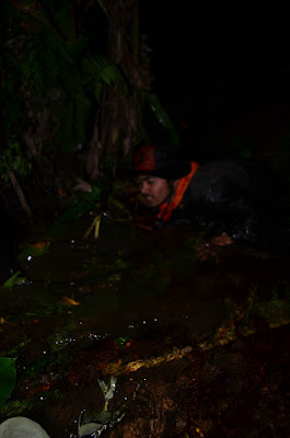 DSC_0366.JPG