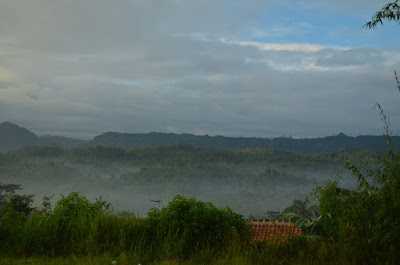 DSC_0146.JPG