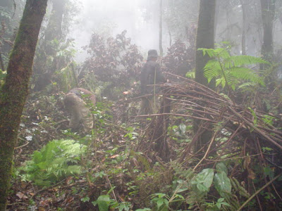 DSC02044.JPG