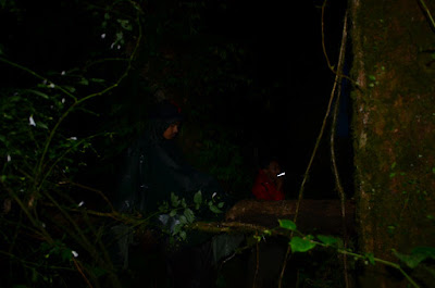 DSC_0410.JPG