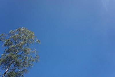 DSC02105.JPG