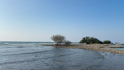 IMG_8187.MOV