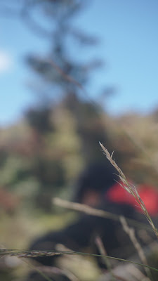 DSC03816.JPG
