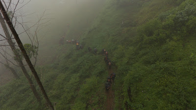 DJI_20260121112140_0172_D.DNG