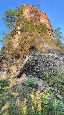 IMG_0088.HEIC