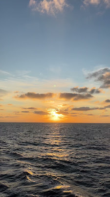 IMG_4637.MOV