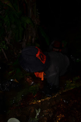 DSC_0365.JPG