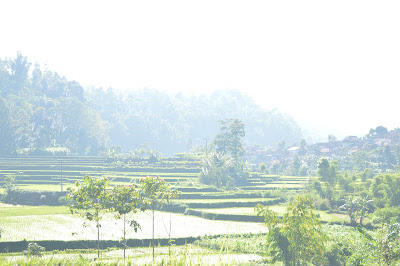 DSC_0087 - Copy.JPG