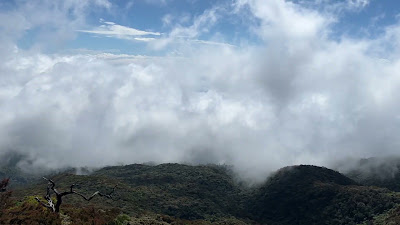 IMG_5928.MOV