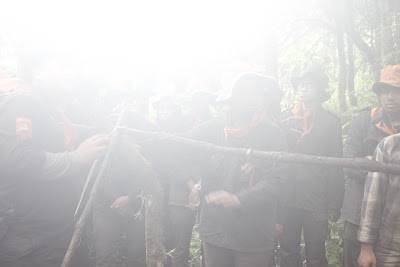 _MG_4059.JPG