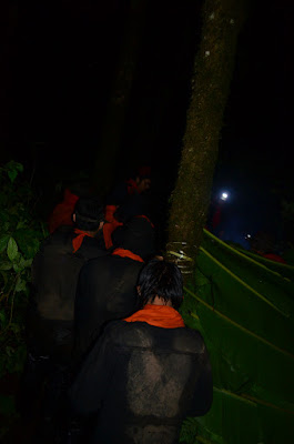 DSC_0202.JPG