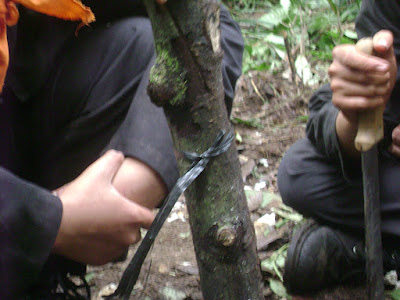 DSC08029.JPG