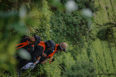 Mountaineering Course-90.jpg