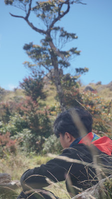 DSC03815.JPG