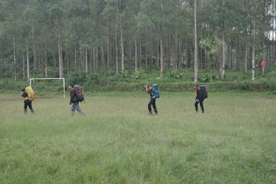 P2070431.JPG