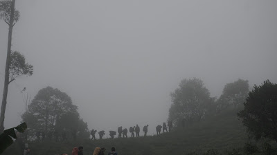 DSC08891.JPG