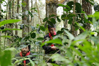 _MG_5515.JPG