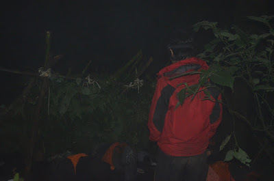 DSC_0232.JPG