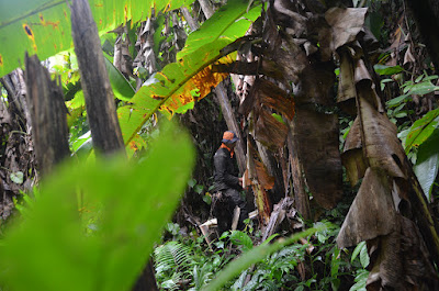 DSC_0367.JPG