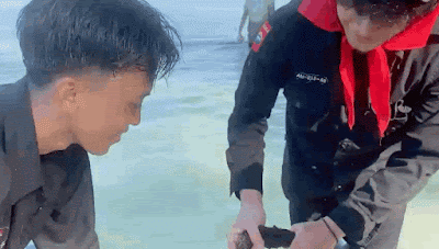 F5C6590A-27F9-400D-AEBA-95D6C9115F9F.gif