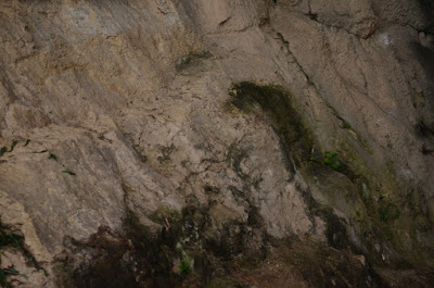 DSC_4905.JPG