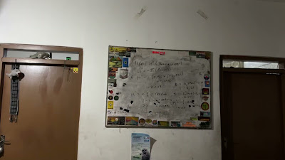 IMG_6722.MOV