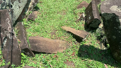 IMG_2112.MOV