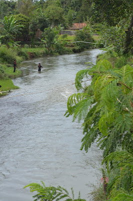 DSC_1159.JPG