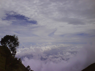 DSC01658.JPG