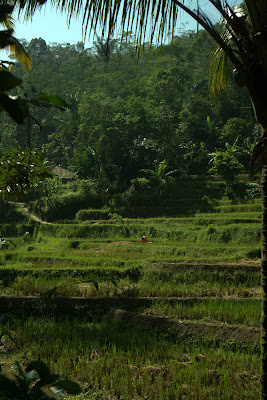 DSC02939.ARW